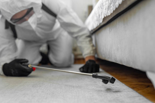 Professional Termite Control technician working in Lockhart, TX