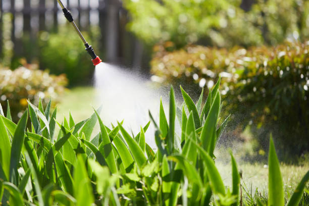 24/7 Emergency Termite Control experts in Lockhart, TX